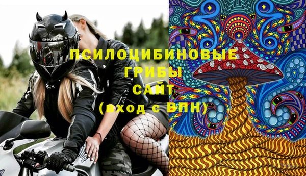 спиды Алексин