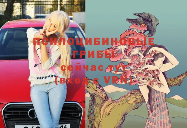 хмурый Алзамай