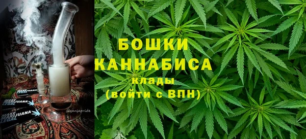 хмурый Алзамай