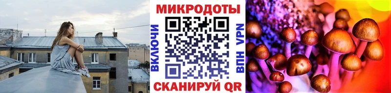 Псилоцибиновые грибы Magic Shrooms  Курчатов 